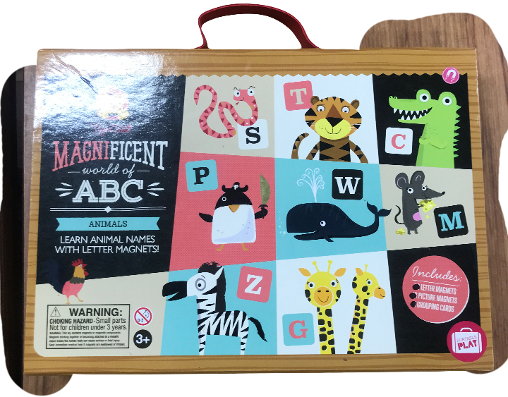 MAGNIFICENT WORLD OF MAGNETS