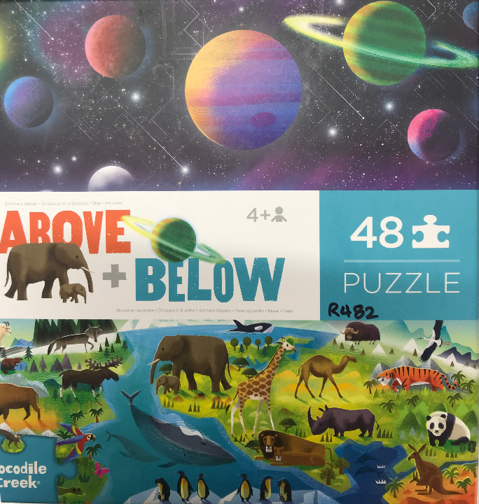 Above and Below Floor Puzzle